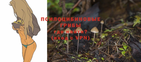 бутират Волосово