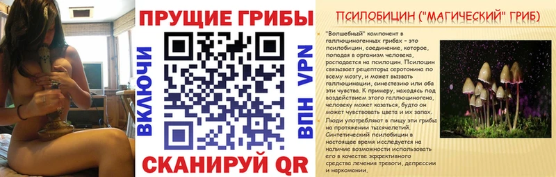 Псилоцибиновые грибы MAGIC MUSHROOMS  Купить  Туринск 